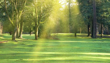 Prairie Rose Funeral Homes